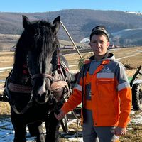 boricsan.radu
