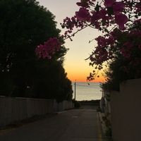 llaura369