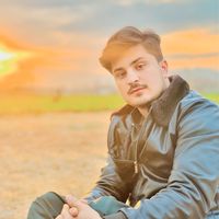 hamid.ali4055