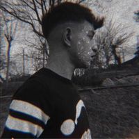 vtmpaul.vtm06