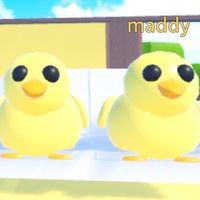 freindlypopcycle1.2_3