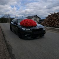 ivar_okk