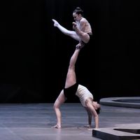 the.acro.bees