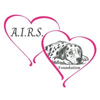 a.i.r.s_foundation