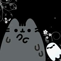 starzz.on.paws10