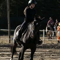equestrian_k.m