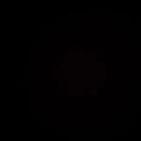 user18308142