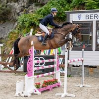 eilashowjumping