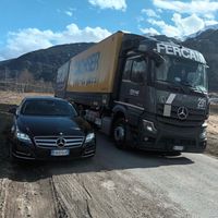 gentian399