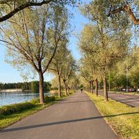 alkuperäinen ääni