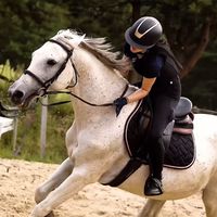 lenka_eq.u