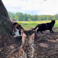 yuna.and.friends