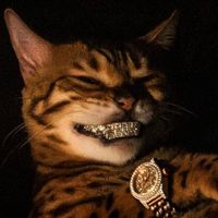 recchee
