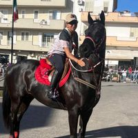cardidda.76