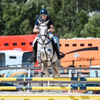 niiloequestrian
