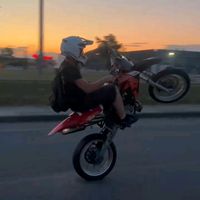 sx.boii