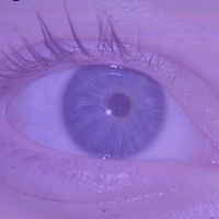 johna4592