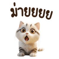 xetai96hy