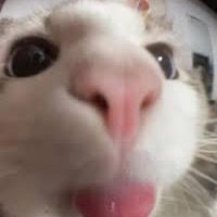 TUNG TUNG TUNG SAHUUUUUR