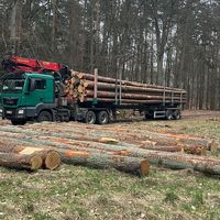 micha8882