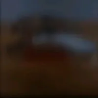 original sound - maailigone