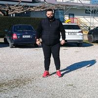 crazygorilas