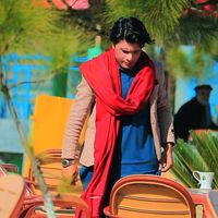 shah_g268