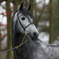 louanne9125