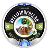 sellifidopollonbigfamily