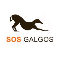 sos.galgos