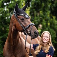 dressage.hfc