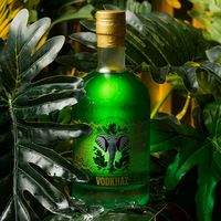 vodk.haz