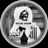 fallou_vision