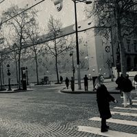 sabrina_popa