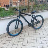 giammo1x