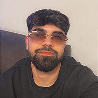 الصوت الأصلي