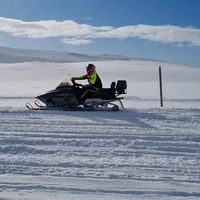 helmine_baardsnes666