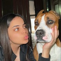 andrada_omar