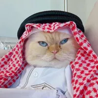 original sound - ibra_cats
