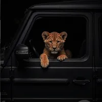 original sound - rliss45