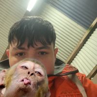 alfiegreer3