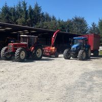 lorcan_150