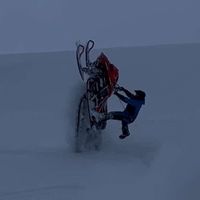 adrian_gunderssen