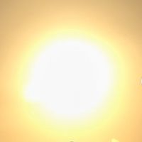 thelionandthesun8