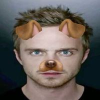 hounds_creations