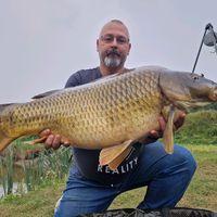hubertus_pospolitus