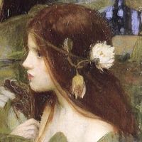fawnwinter