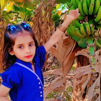 abdul.fattah473