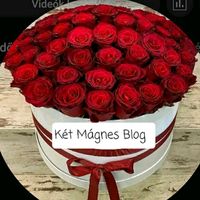 ketmagnes