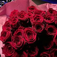 _.majdouxx._
